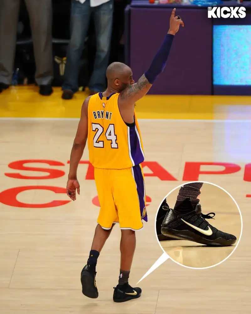 PG Gaming-B/R晒图回顾16赛季球员们穿着的经典球鞋:一起踏上回忆之旅